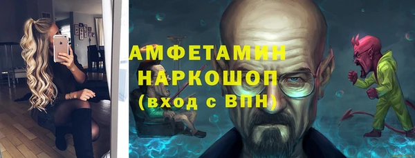 сатива Вяземский