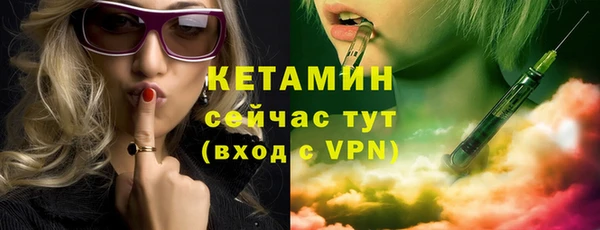 сатива Вяземский