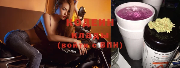 сатива Вяземский