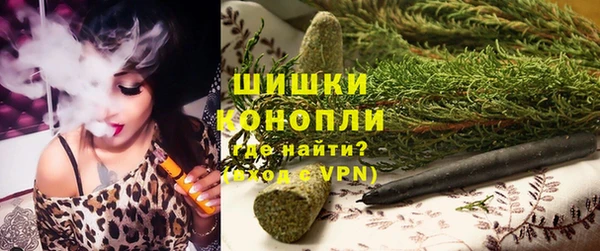 сатива Вяземский