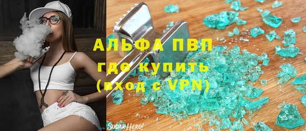 сатива Вяземский