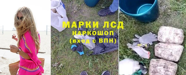ГАЛЛЮЦИНОГЕННЫЕ ГРИБЫ Вязьма