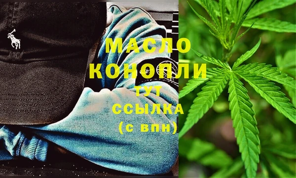 сатива Вяземский