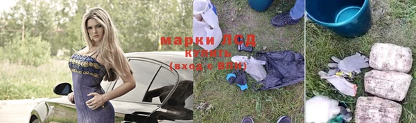 сатива Вяземский