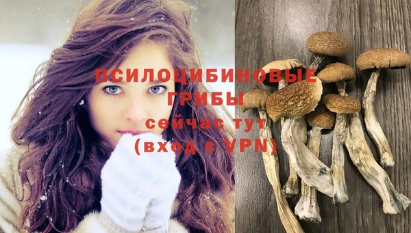 ГАЛЛЮЦИНОГЕННЫЕ ГРИБЫ Вязьма