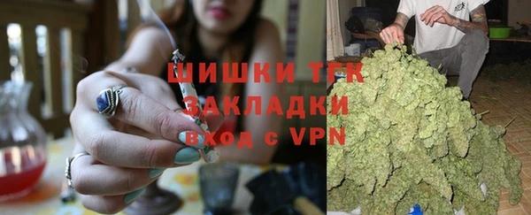 ГАЛЛЮЦИНОГЕННЫЕ ГРИБЫ Вязьма
