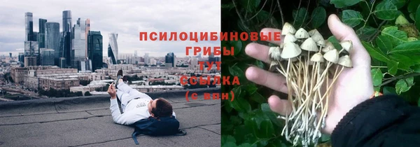 ГАЛЛЮЦИНОГЕННЫЕ ГРИБЫ Вязьма