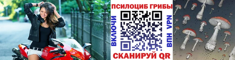 Галлюциногенные грибы мицелий  Новошахтинск 
